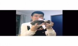 男女搞逼视频,一场禁忌的视觉盛宴